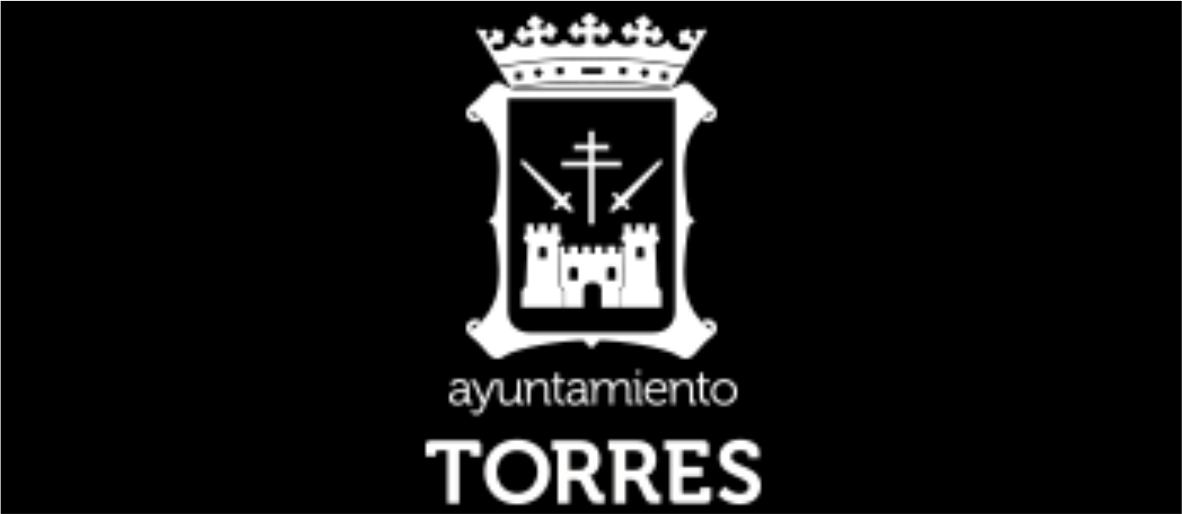 AYUNTAMIENTO TORRES